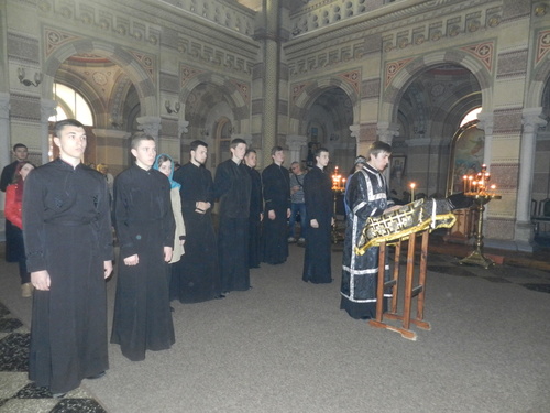 dscn4886_500 dscn4886_500