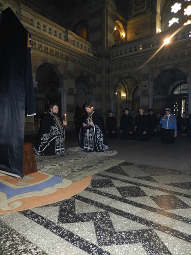 dscn4931_500_02 dscn4931_500_02