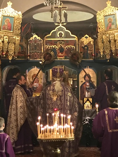 17237184_1658626157767724_154431485_o_500