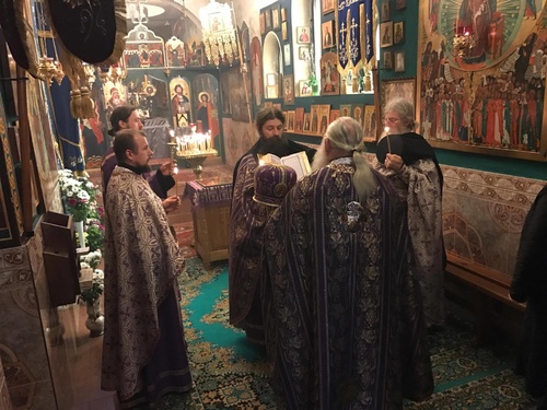 17310534_1658628964434110_1469492180_o_500