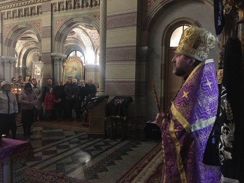 img66adc7d7c0071ce6b561d182afb9973ev_500