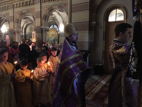 img8c79c3ac70e90d5f7a97c34c68bd88c6v_500