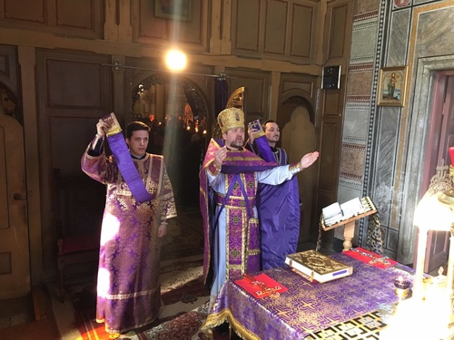 imgc6672c1a5dc57fb2ea8bde28223ea62ev_500