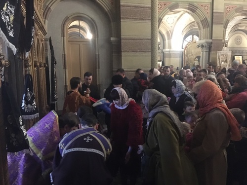 imgd7b0889b5bb1d21f632a81cee19c5f5cv_500