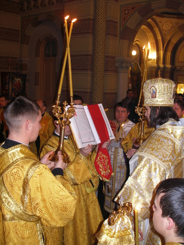 p2117866_500 p2117866_500