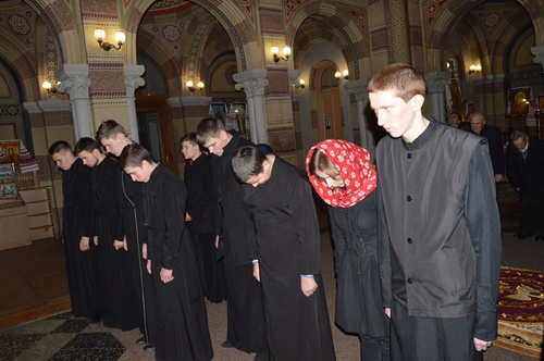 dsc_0010_500_01 dsc_0010_500_01