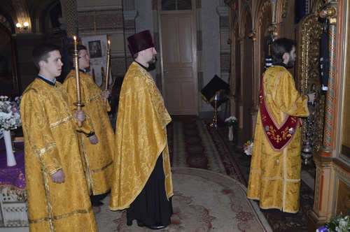 dsc_0012_500_04 dsc_0012_500_04