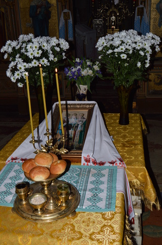 dsc_0037_500_01 dsc_0037_500_01