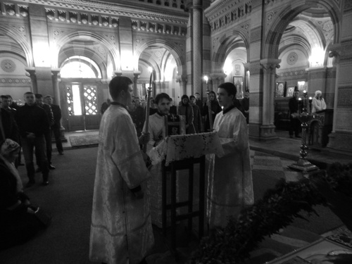 dscn9311_500 dscn9311_500