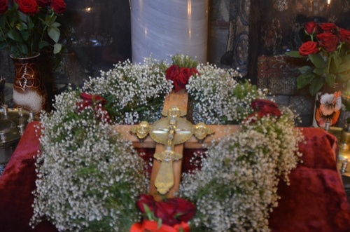 content_dsc_0825_500 content_dsc_0825_500