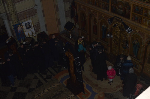dsc_0120_500_01_500 dsc_0120_500_01_500
