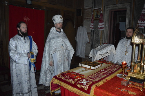 dsc_1384_500 dsc_1384_500