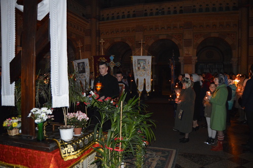 dsc_1387_500 dsc_1387_500