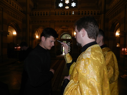 dscn2294_500 dscn2294_500