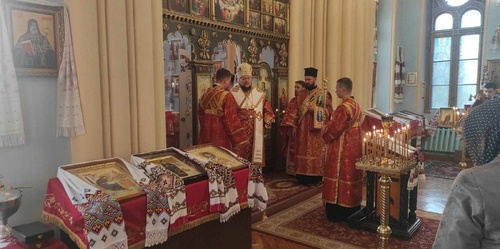 344728100_1030363581265276_6989988439915594088_n_500