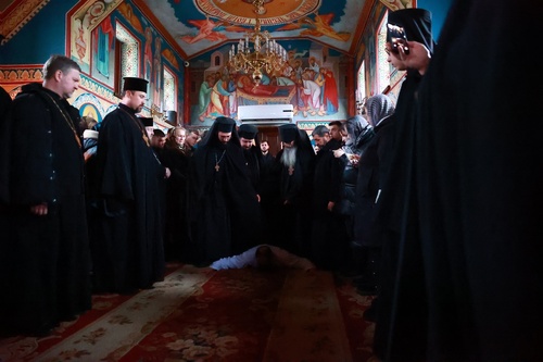 645913819_122307842450210896_6841575445156506321_n_500