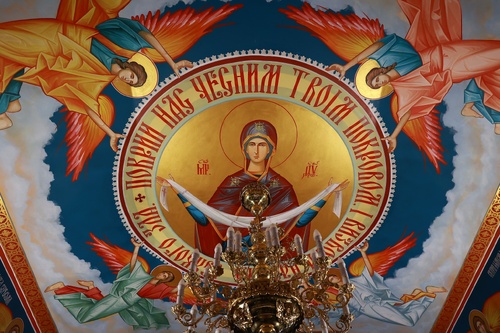 646021885_122307842630210896_498292953997385888_n_500