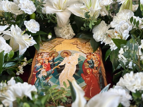 669850355_122315051444210896_868227123702388296_n_500