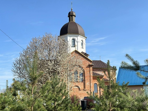 671380416_122315055410210896_1003819961133223055_n_500