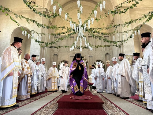 671727516_122315052110210896_5871143320057426872_n_500