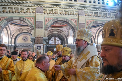 dsc_13301536x1022_500