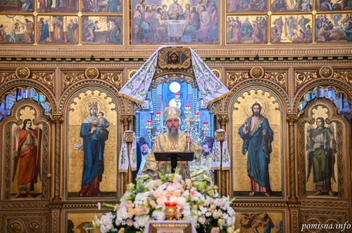 dsc_13721536x1021_500