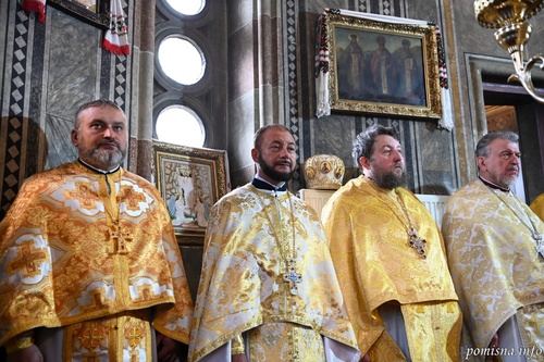 dsc_14481536x1022_500