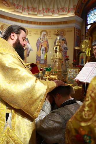 img_5401683x1024_500.