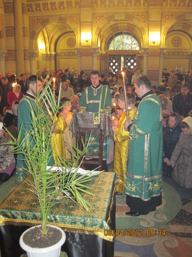 img_0163_500 img_0163_500