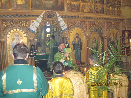img_0174_500 img_0174_500