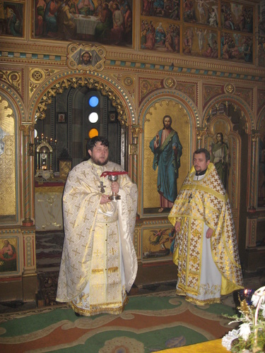 img_6222_500 img_6222_500
