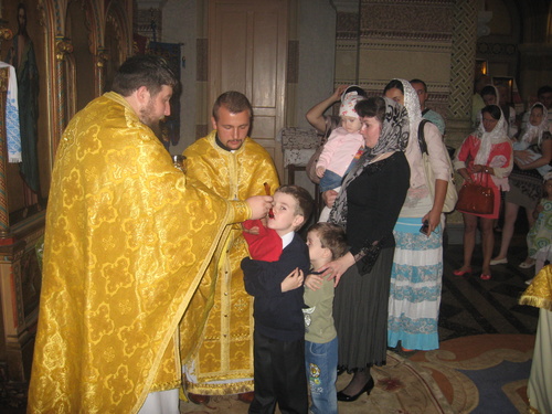 img_7446_500 img_7446_500